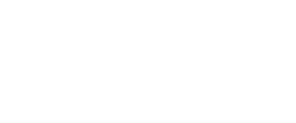 MIM - Metal Injection Molding